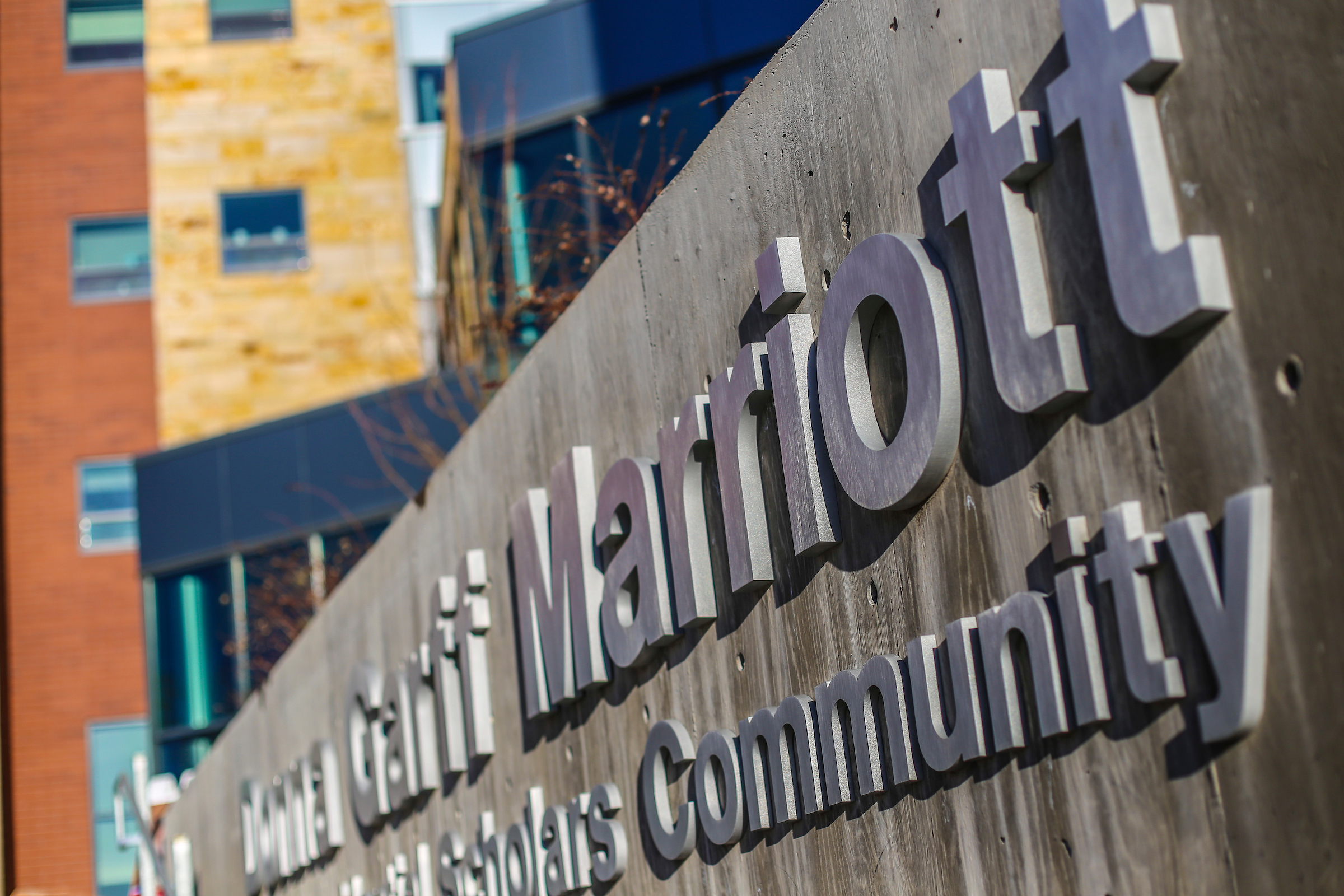 Motivation to complete dissertation picture